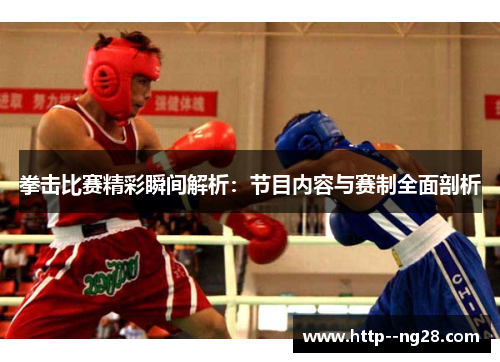 拳击比赛精彩瞬间解析：节目内容与赛制全面剖析