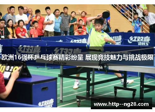 欧洲16强杯乒乓球赛精彩纷呈 展现竞技魅力与挑战极限