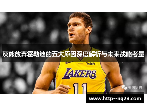 灰熊放弃霍勒迪的五大原因深度解析与未来战略考量